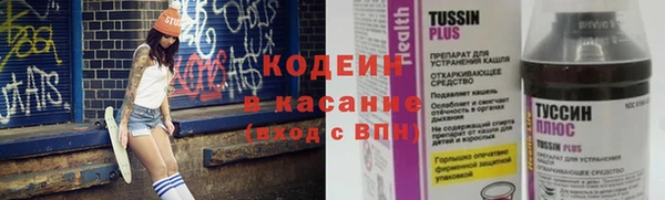 ПСИЛОЦИБИНОВЫЕ ГРИБЫ Арсеньев