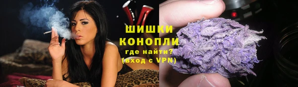 ПСИЛОЦИБИНОВЫЕ ГРИБЫ Арсеньев