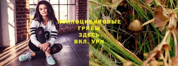 таблы Армянск
