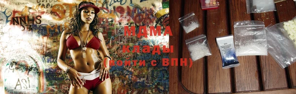 ПСИЛОЦИБИНОВЫЕ ГРИБЫ Арсеньев