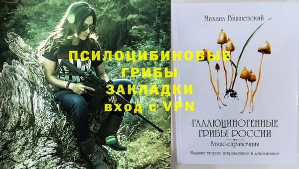 таблы Армянск