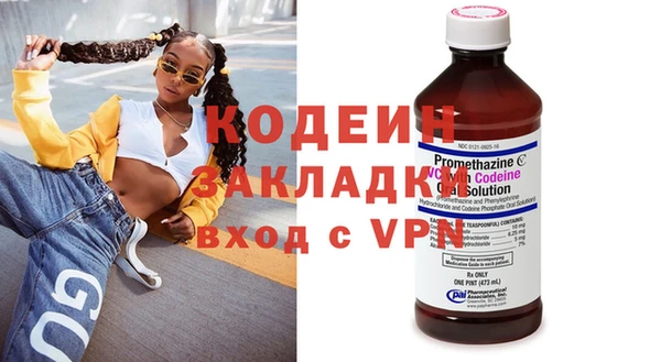 ПСИЛОЦИБИНОВЫЕ ГРИБЫ Арсеньев